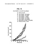 BISPECIFIC HETERODIMERIC DIABODIES AND USES THEREOF diagram and image