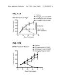 BISPECIFIC HETERODIMERIC DIABODIES AND USES THEREOF diagram and image