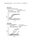 BISPECIFIC HETERODIMERIC DIABODIES AND USES THEREOF diagram and image