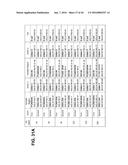 BISPECIFIC HETERODIMERIC DIABODIES AND USES THEREOF diagram and image