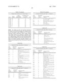 BISPECIFIC HETERODIMERIC DIABODIES AND USES THEREOF diagram and image