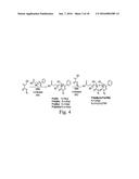 DENSELY FUNCTIONALIZED POLYMERS DERIVED FROM BAYLIS-HILLMAN ADDUCTS diagram and image