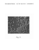 DENSELY FUNCTIONALIZED POLYMERS DERIVED FROM BAYLIS-HILLMAN ADDUCTS diagram and image