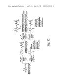 DENSELY FUNCTIONALIZED POLYMERS DERIVED FROM BAYLIS-HILLMAN ADDUCTS diagram and image