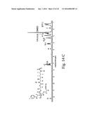 DENSELY FUNCTIONALIZED POLYMERS DERIVED FROM BAYLIS-HILLMAN ADDUCTS diagram and image