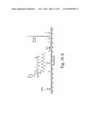 DENSELY FUNCTIONALIZED POLYMERS DERIVED FROM BAYLIS-HILLMAN ADDUCTS diagram and image