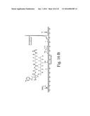 DENSELY FUNCTIONALIZED POLYMERS DERIVED FROM BAYLIS-HILLMAN ADDUCTS diagram and image