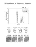 DETERMINATION OF OIL SATURATION IN RESERVOIR ROCK USING PARAMAGNETIC     NANOPARTICLES AND MAGNETIC FIELD diagram and image