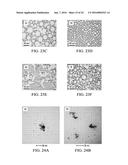 DETERMINATION OF OIL SATURATION IN RESERVOIR ROCK USING PARAMAGNETIC     NANOPARTICLES AND MAGNETIC FIELD diagram and image