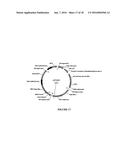 PROCESSES FOR PRODUCING INDUSTRIAL PRODUCTS FROM PLANT LIPIDS diagram and image