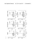 COMPOSITION FOR PROMOTING CARDIAC DIFFERENTIATION OF PLURIPOTENT STEM CELL     COMPRISING EGFR INHIBITOR diagram and image