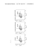 COMPOSITION FOR PROMOTING CARDIAC DIFFERENTIATION OF PLURIPOTENT STEM CELL     COMPRISING EGFR INHIBITOR diagram and image