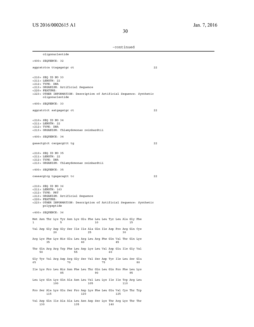 RATIONALLY-DESIGNED SINGLE-CHAIN MEGANUCLEASES WITH NON-PALINDROMIC     RECOGNITION SEQUENCES - diagram, schematic, and image 32