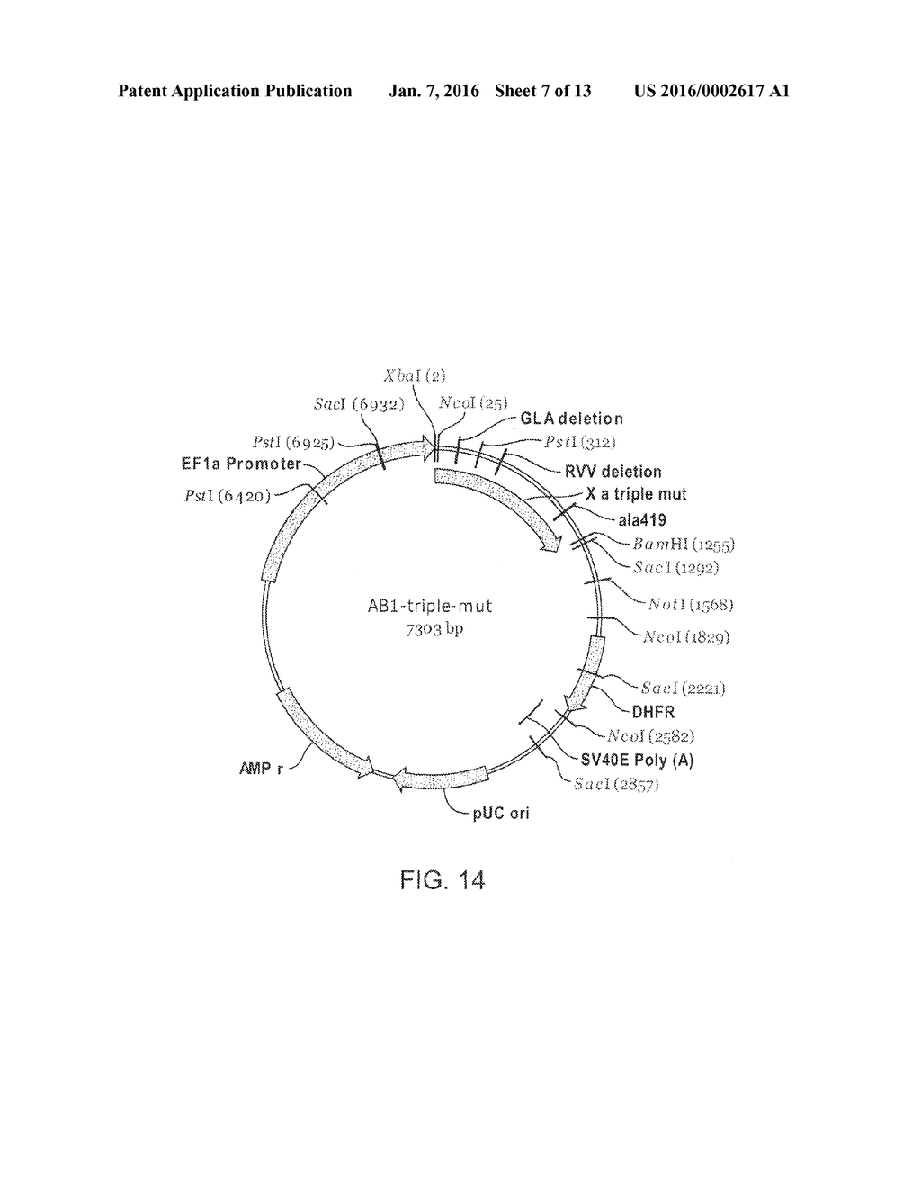 ANTIDOTES FOR FACTOR XA INHIBITORS AND METHODS OF USING THE SAME - diagram, schematic, and image 08