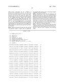 TREATMENT OF MEMBRANE BOUND TRANSCRIPTION FACTOR PEPTIDASE, SITE 1     (MBTPS1) RELATED DISEASES BY INHIBITION OF NATURAL ANTISENSE TRANSCRIPT     TO MBTPS1 diagram and image