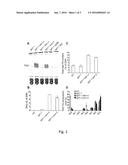 Enhanced Triacylglycerol Accumulation in Vegetative Tissues of Plants diagram and image