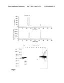 POLYPEPTIDES AGAINST PLANT PATHOGENIC FUNGI diagram and image