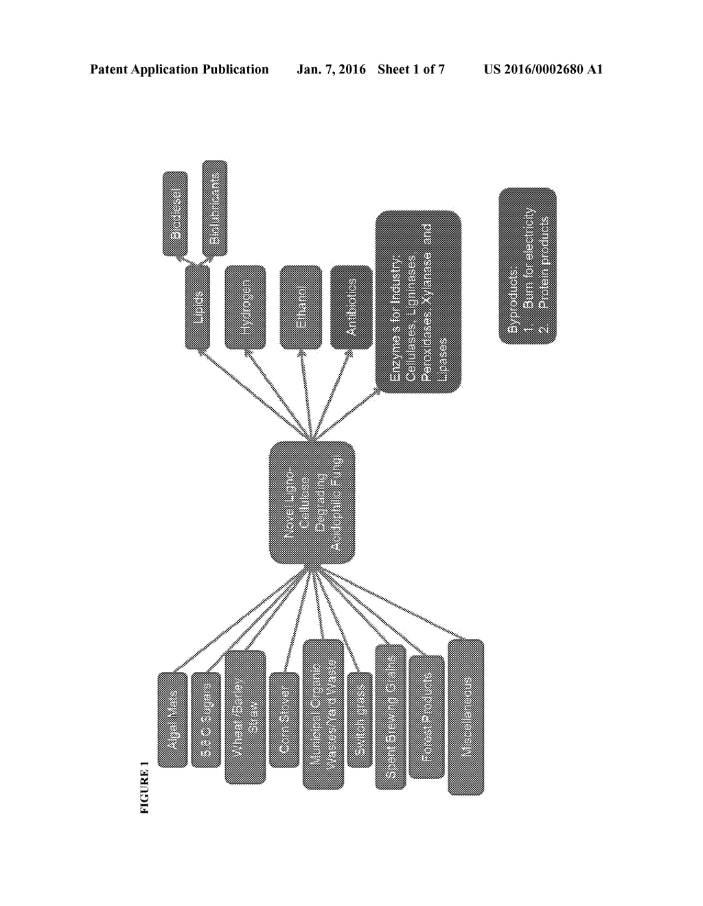 ACIDOPHILIC FUSARIUM OXYSPORUM STRAINS, METHODS OF THEIR PRODUCTION AND     METHODS OF THEIR USE - diagram, schematic, and image 02