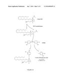 ELECTROCHEMILUMINESCENCE (ECL) DETECTION REAGENTS AND RELATED METHODS FOR     MEASURING ENZYME ACTIVITY diagram and image