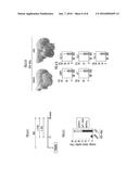 METHOD FOR SCREENING FOOD INGREDIENTS AND FOOD COMPOSITIONS diagram and image