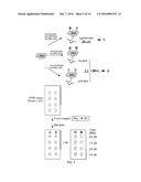 Proximity Assay for In Situ Detection of Targets diagram and image