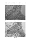 Proximity Assay for In Situ Detection of Targets diagram and image