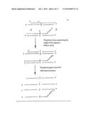 Polymerase Chain Reaction Detection System diagram and image