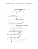 Polymerase Chain Reaction Detection System diagram and image