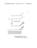 Polymerase Chain Reaction Detection System diagram and image