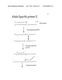 Polymerase Chain Reaction Detection System diagram and image