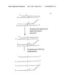 Polymerase Chain Reaction Detection System diagram and image