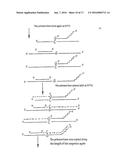 Polymerase Chain Reaction Detection System diagram and image