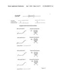 Polymerase Chain Reaction Detection System diagram and image