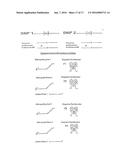 Polymerase Chain Reaction Detection System diagram and image