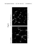 SKIN ACTIVATION BY ACCELERATION OF PDGF-BB ACTIVITY diagram and image