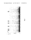 METHOD FOR EVALUATING SIDE-EFFECT ONSET RISK IN ANTICANCER DRUG TREATMENT,     INCLUDING DETECTING MUC4 GENE POLYMORPHISM diagram and image
