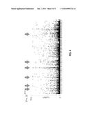 METHOD FOR EVALUATING SIDE-EFFECT ONSET RISK IN ANTICANCER DRUG TREATMENT,     INCLUDING DETECTING MUC4 GENE POLYMORPHISM diagram and image