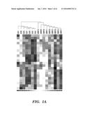 USE OF MICROVESICLES IN ANALYZING NUCLEIC ACID PROFILES diagram and image