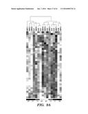 USE OF MICROVESICLES IN ANALYZING NUCLEIC ACID PROFILES diagram and image