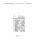 USE OF MICROVESICLES IN ANALYZING NUCLEIC ACID PROFILES diagram and image