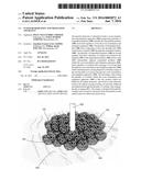 SCOUR REMEDIATION AND MITIGATION APPARATUS diagram and image