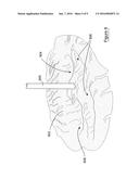 SCOUR REMEDIATION AND MITIGATION APPARATUS diagram and image