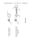APTAMERS AND USES THEREOF diagram and image