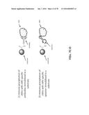 APTAMERS AND USES THEREOF diagram and image