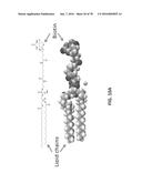 APTAMERS AND USES THEREOF diagram and image