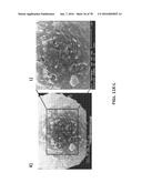 APTAMERS AND USES THEREOF diagram and image