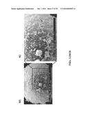 APTAMERS AND USES THEREOF diagram and image