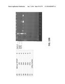 APTAMERS AND USES THEREOF diagram and image