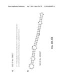 APTAMERS AND USES THEREOF diagram and image