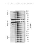 APTAMERS AND USES THEREOF diagram and image